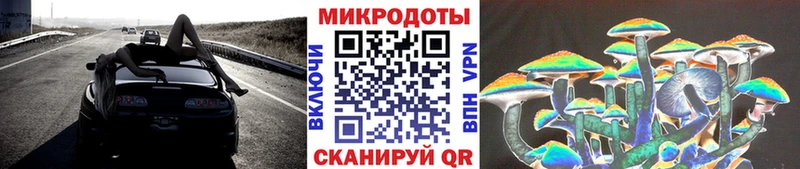 blacksprut ONION  Славск  Псилоцибиновые грибы Psilocybine cubensis 